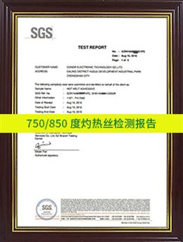 750-850度灼热丝检测报告