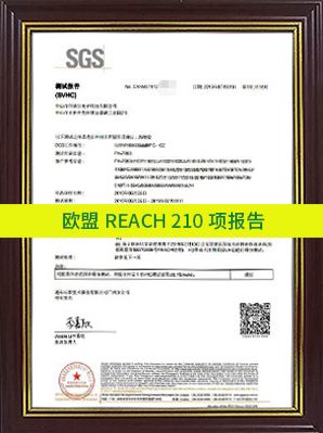 欧盟REACH-210项报告